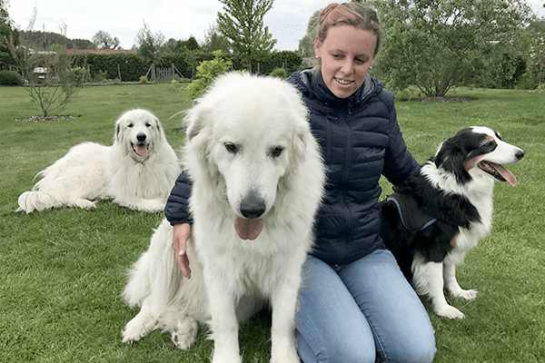 Julie et ses chiens (Neige & Hiris) se préparant à partir en médiation canine